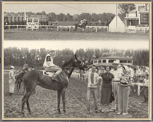 Ralph Choisser with his horse Brain Sprain